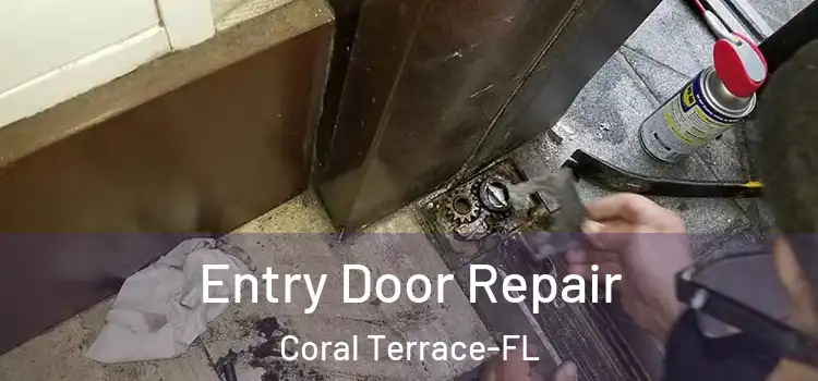  Entry Door Repair Coral Terrace-FL