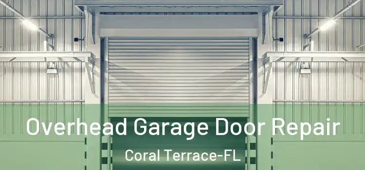 Overhead Garage Door Repair Coral Terrace-FL