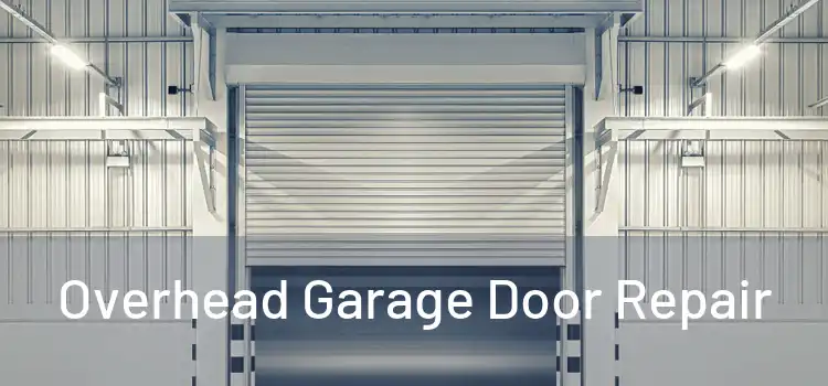  Overhead Garage Door Repair 