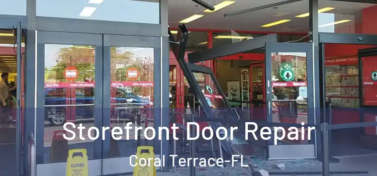  Storefront Door Repair Coral Terrace-FL